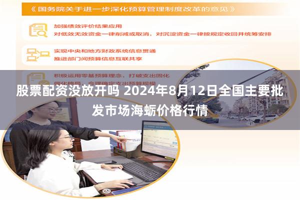 股票配资没放开吗 2024年8月12日全国主要批发市场海蛎价格行情