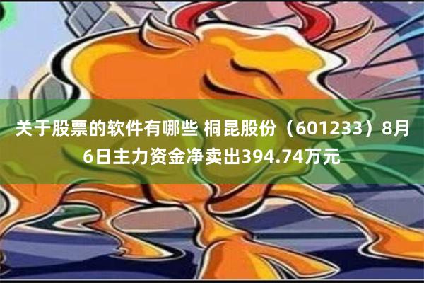 关于股票的软件有哪些 桐昆股份（601233）8月6日主力资金净卖出394.74万元