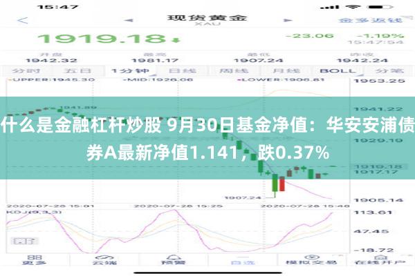 什么是金融杠杆炒股 9月30日基金净值：华安安浦债券A最新净值1.141，跌0.37%