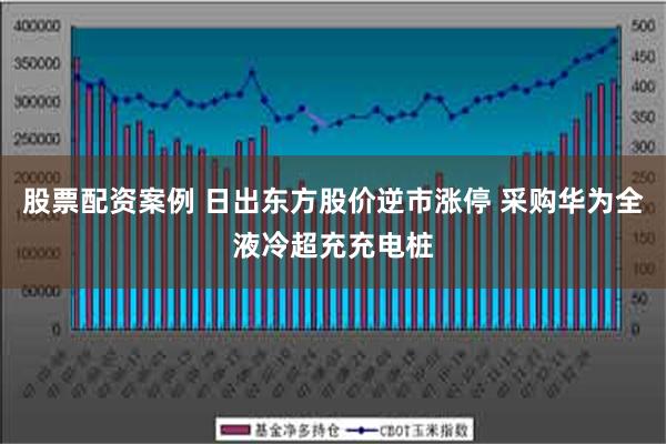 股票配资案例 日出东方股价逆市涨停 采购华为全液冷超充充电桩