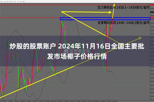 炒股的股票账户 2024年11月16日全国主要批发市场椰子价格行情