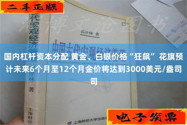 国内杠杆资本分配 黄金、白银价格“狂飙” 花旗预计未来6个月至12个月金价将达到3000美元/盎司