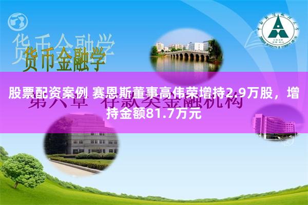 股票配资案例 赛恩斯董事高伟荣增持2.9万股，增持金额81.7万元