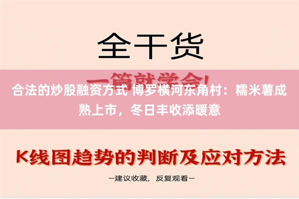 合法的炒股融资方式 博罗横河东角村：糯米薯成熟上市，冬日丰收添暖意